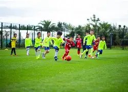 年教育变革,升学,高考与学位,UED,UED体育,ued,UED体育官网