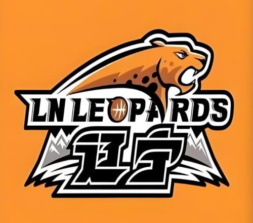 第九届亚冬,会纪念邮票,成功发布,UED,UED体育,ued,UED体育官网